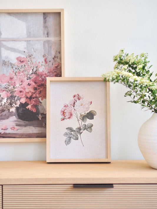 Water colour Rose Framed Print 12x9'