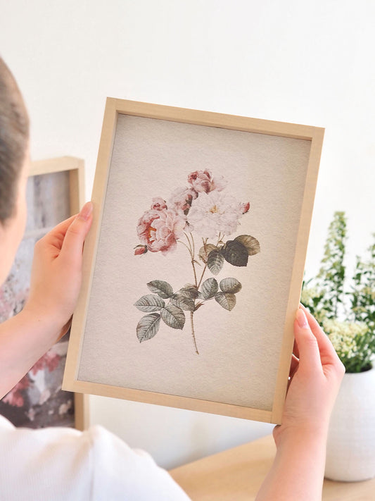 Water colour Rose Framed Print 12x9'